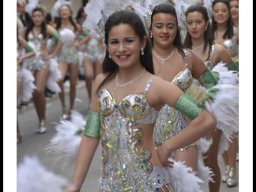 Carnaval de Mula 2014